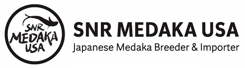 SNR Medaka USA